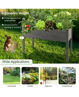 Wooden Raised Vegetable Garden Bed Elevated Grow Vegetable Planter