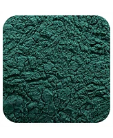 Frontier Co-op Organic Spirulina Powder