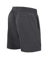 Nike Men's Anthracite Georgia Bulldogs 2024 Sideline Performance Shorts