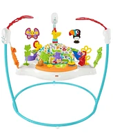 Fisher Price Animal Safari Jumperoo Activity Center