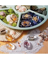 Kaplan Early Learning Specimen Stones: Sea Creatures