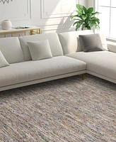 Dalyn Arcata AC1 8'x10' Area Rug