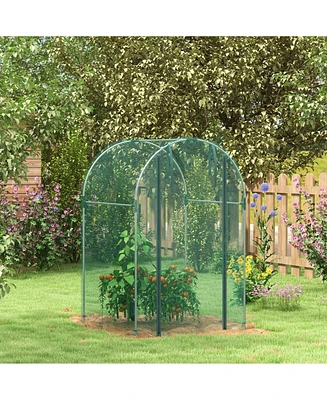 Streamdale Furniture Walk-in Plant Cage with Steel Frame for Garden Protection from Animals