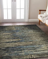 Dalyn Trevi TV14 8'x10' Area Rug