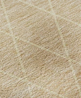 Dalyn Lazio Washable LZ2 10'x14' Area Rug