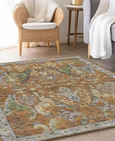 Dalyn Hatay Washable HY6 9'x12' Area Rug