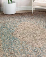 Dalyn Kars KA12 10'x13' Area Rug