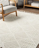 Nuloom Donna Kerry 12'x15' Area Rug