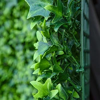 Artificial Grass Wall Privacy Screen and Backdrop Panels (33 sqft)