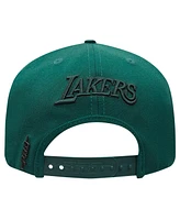 Pro Standard Men's Forest Green Los Angeles Lakers Tonal Logo Snapback Hat