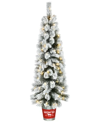 National Tree Company Pre-Lit Feel Real Snowy Pogue Pine Artificial Christmas Entrance Tree 5 ft.