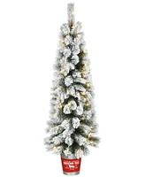 National Tree Company Pre-Lit Feel Real Snowy Pogue Pine Artificial Christmas Entrance Tree 5 ft.