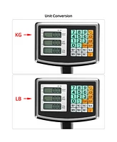 Sugift Foldable 660 lbs Weight Computing Postal Scale, Floor Platform Digital Scale