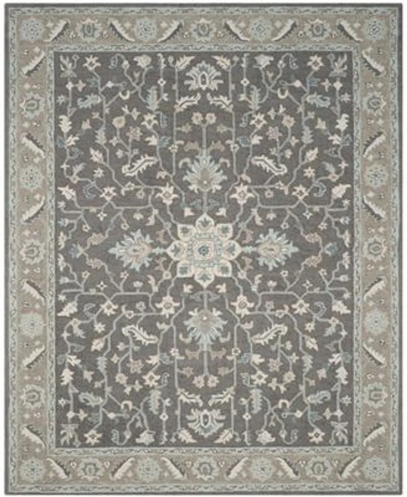 Safavieh Blossom Ii Blm217 Area Rug Collection