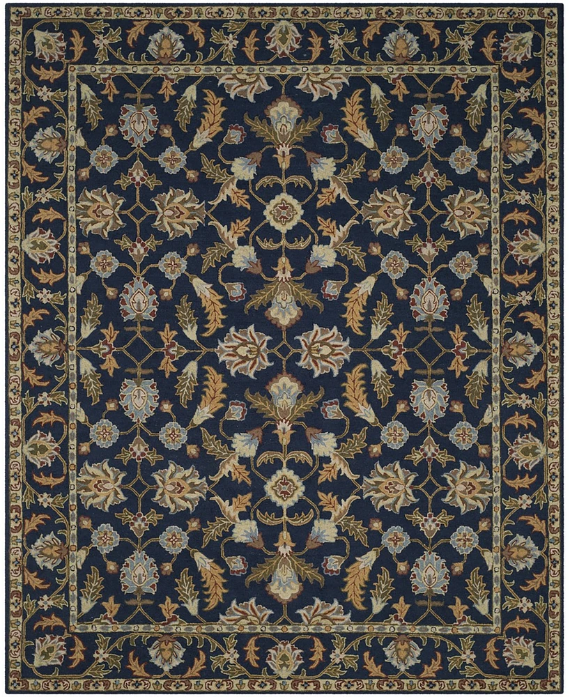 Safavieh Blossom Ii BLM219 8'x10' Area Rug