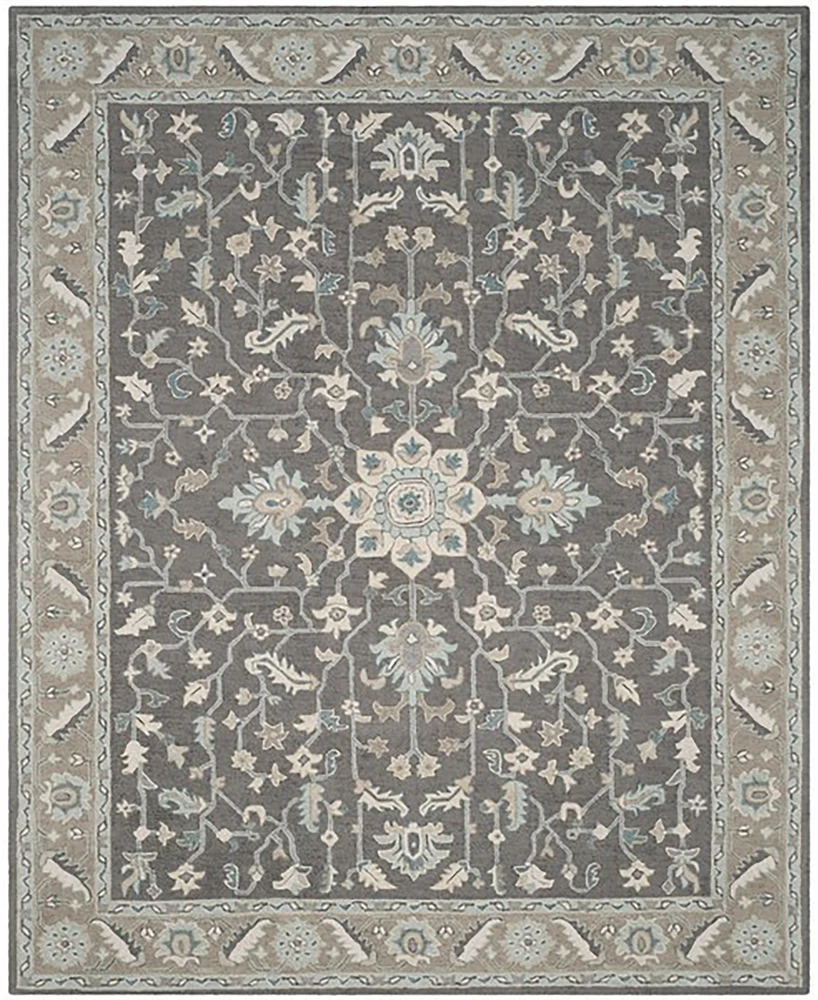 Safavieh Blossom Ii BLM217 6'x9' Area Rug