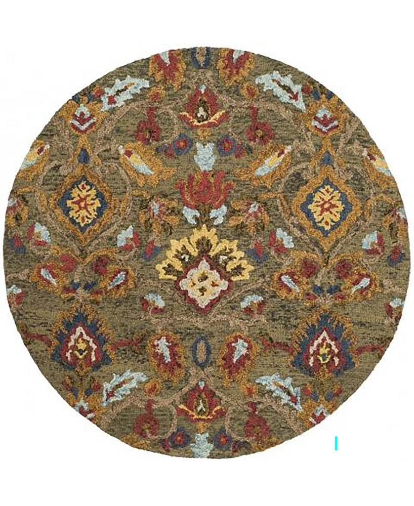 Safavieh Blossom Ii BLM402 3'x3' Round Area Rug