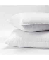 Down Alternative Pillow Set Of 2