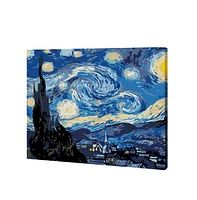 Artwille Paint by Number Kit Starry Night - Assorted Pre