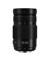 Panasonic Lumix G Vario 100-300mm f/4.0-5.6 Ii Lens for Micro Four Thirds