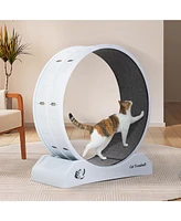 Streamdale Furniture 2-in-1 Silent Cat Treadmill with Teaser Exercise & Entertainment, White Gray