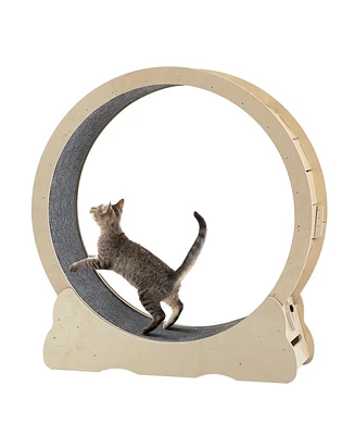 Simplie Fun Quiet and Smooth Cat Exercise Wheel for Safe and Comfortable Play