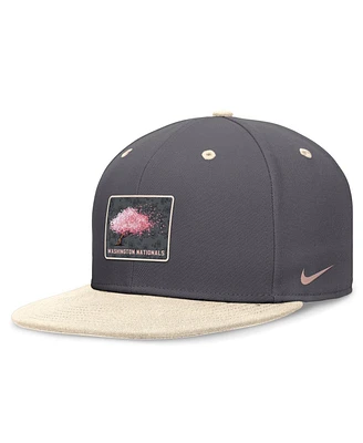 Nike Men's Graphite/Natural Washington Nationals City Connect True Fitted Hat