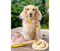 PoisePup Pet Dog Collar - Sweetest Thing