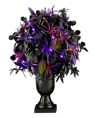 National Tree Company Scare in the Air Potted Plant, 24 Inches