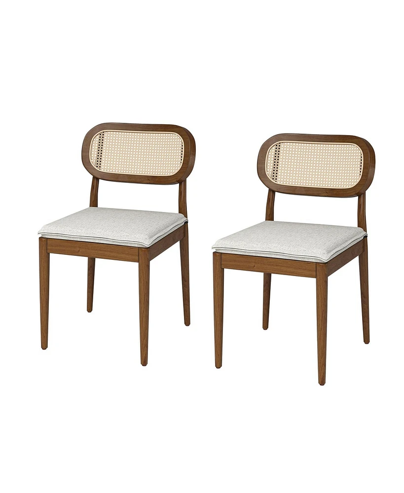 Hulala Home Raimund Modern Ratten Dining Chair with Removable Seat Cushions