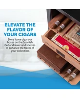 Newair 250 Count Electric Cigar Humidor Wineador in Stainless Steel, Thermoelectric Cooling with Precision Digital Temperature Controls