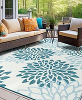 Main Street Rugs Hana Outdoor 5'x7' Area Rug