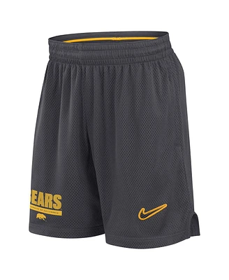 Nike Men's Anthracite Cal Bears 2024 Sideline Mesh Shorts