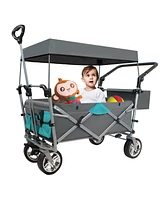 Collapsible Utility Wagon with Canopy