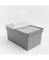 Iris Wing-Lid Latter Size File Organizer Box, Gray with Clear Lid, Pack of 4