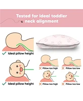 Toddler Pillow with Pillowcase