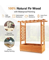 Givimo Raised Garden Bed with Trellis or Climbing Plant and Pot Hanging