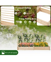 Givimo Raised Garden Bed with 2 Planter Boxes and 3 Trellis-Natural