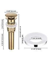 Aquaterior Pop Up Drain with Overflow Mounting Ring Kit for Countertop Basin