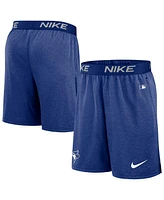 Nike Men's Royal Toronto Blue Jays Authentic Collection Practice Performance Shorts