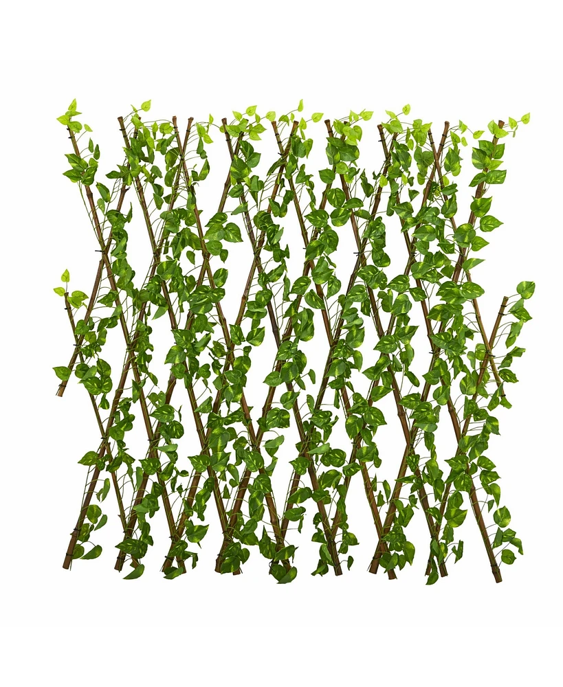 Slickblue Pothos Expandable Fence Uv Resistant & Waterproof