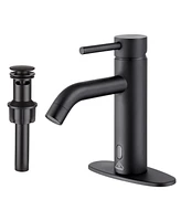 Boyel Living Single Hole Bathroom Faucet with Drain Assembly, Single Handle Bathroom Sink Faucet