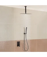 Boyel Living 1-Spray Patterns with 2.5 Gpm 12 in. Ceiling Mount Dual Shower Heads Pressure Balance Valve