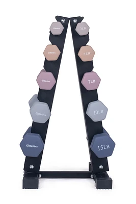 Bintiva Earthtone Dumbbell Kit With Stand