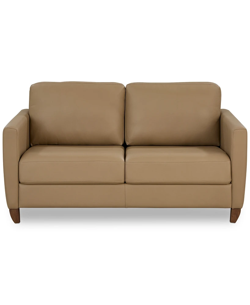 American Leather Co. Naomi 63" Leather Today Full Sleeper Sofa