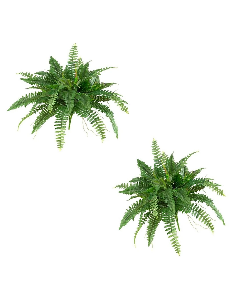 Slickblue Set of 2 Boston Ferns – Lush Indoor Plants for Elegant Home Decor