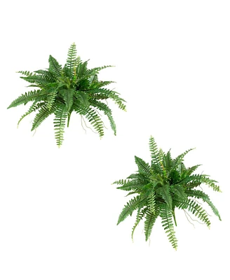 Slickblue Set of 2 Boston Ferns – Lush Indoor Plants for Elegant Home Decor