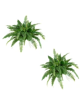 Slickblue Set of 2 Boston Ferns – Lush Indoor Plants for Elegant Home Decor