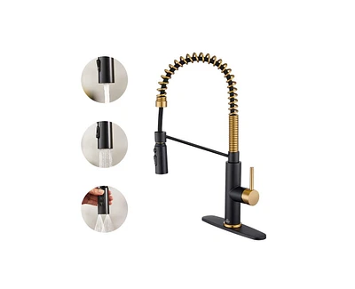 Casainc 1.8 Gpm Spring Neck Pull Down Kitchen Faucet with Deck Plate