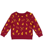 Harry Potter Girls Gryffindor Hufflepuff Slytherin Pullover Sweatshirt to